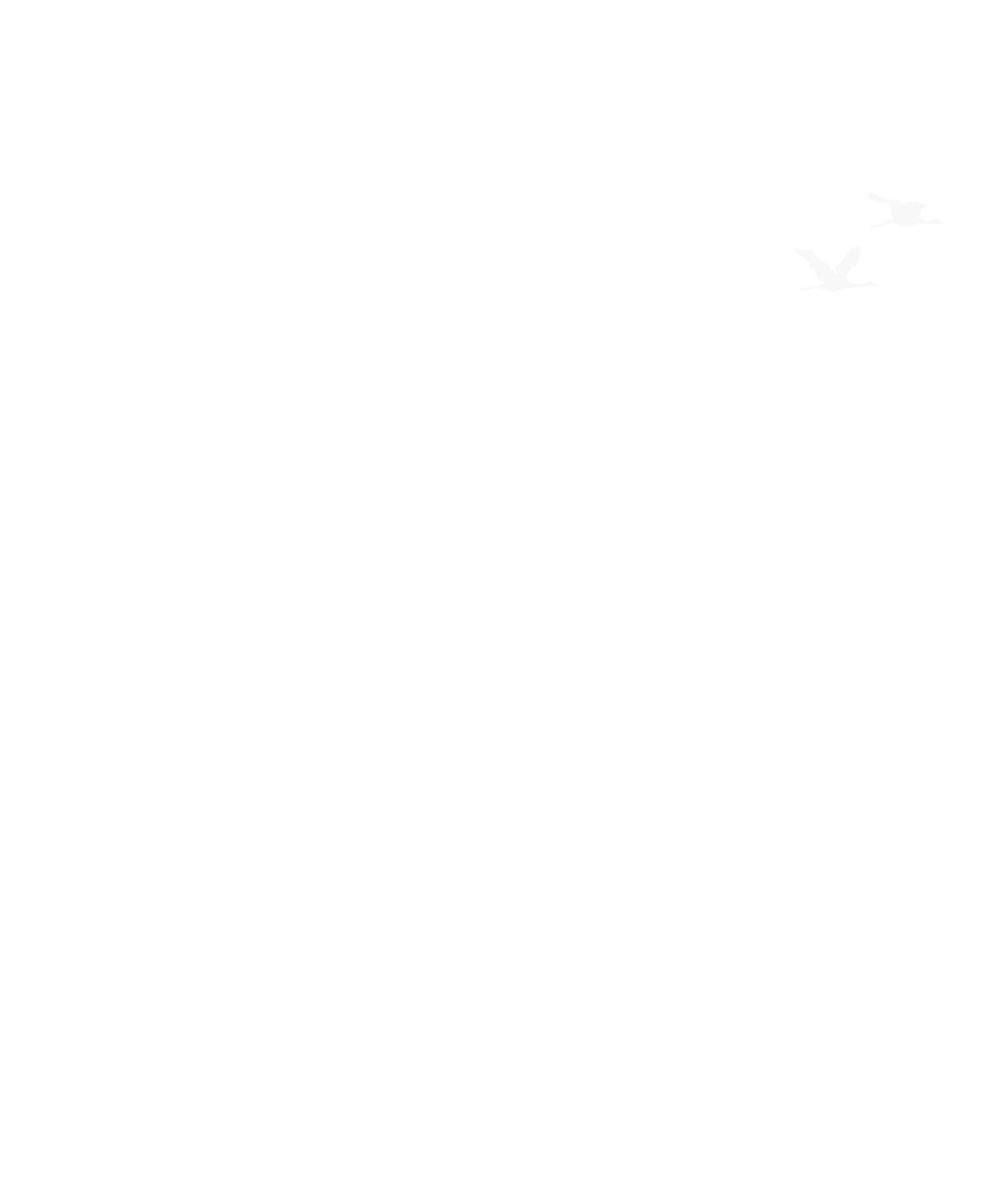 大雁