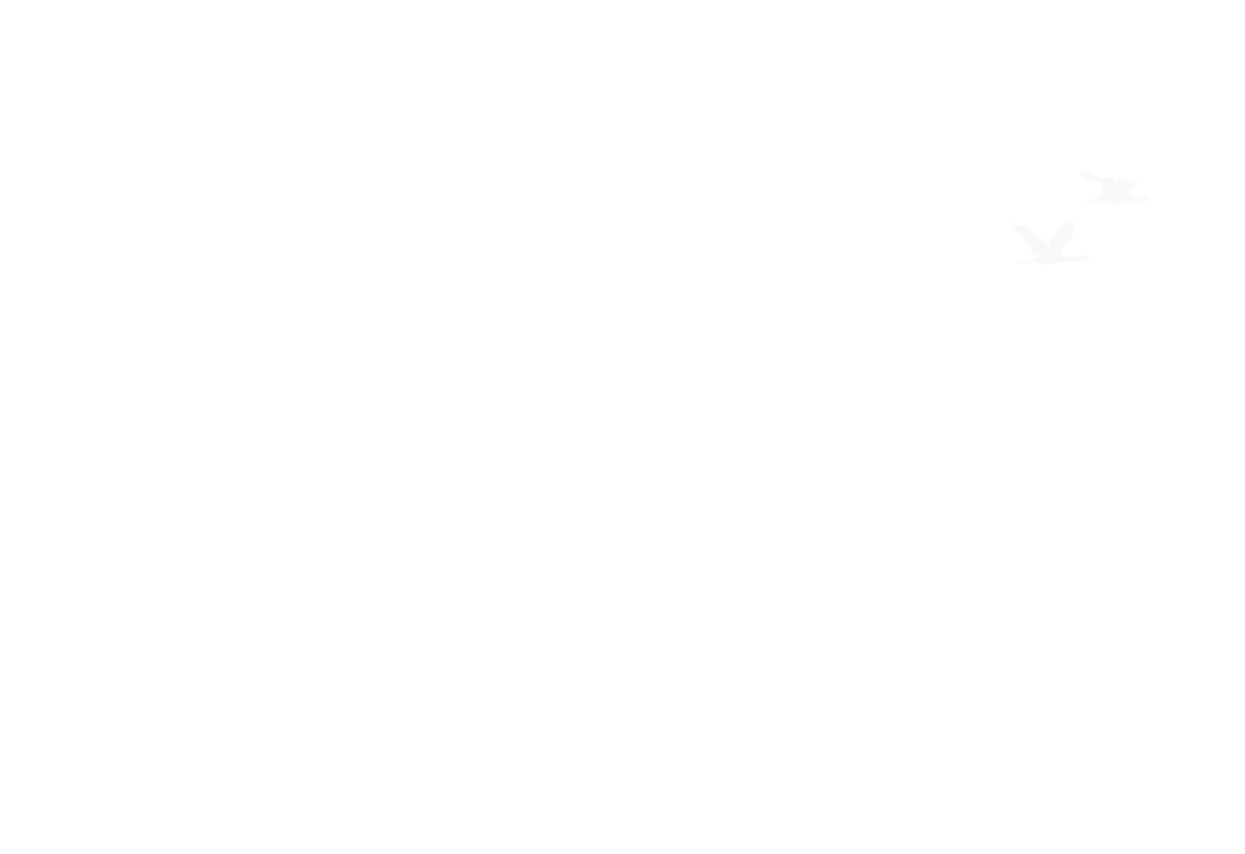 圆环